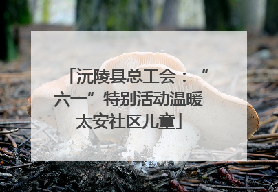沅陵县总工会：“六一”特别活动温暖太安社区儿童