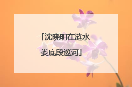 沈晓明在涟水娄底段巡河