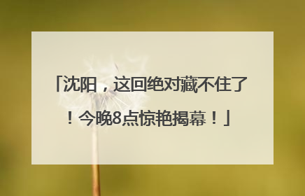 沈阳，这回绝对藏不住了！今晚8点惊艳揭幕！