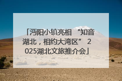 沔阳小镇亮相 “知音湖北，相约大湾区” 2025湖北文旅推介会