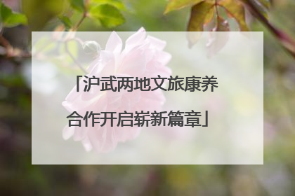 沪武两地文旅康养合作开启崭新篇章