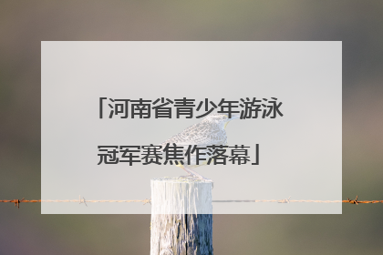 河南省青少年游泳冠军赛焦作落幕