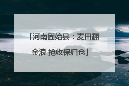 河南固始县：麦田翻金浪 抢收保归仓