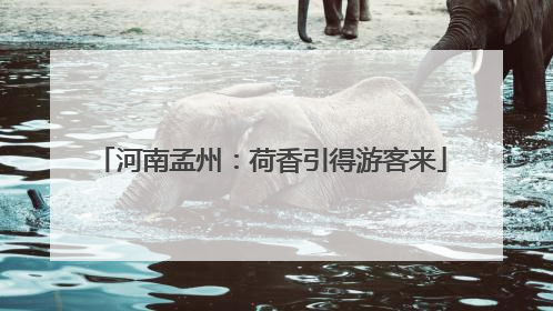 河南孟州：荷香引得游客来