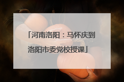 河南洛阳：马怀庆到洛阳市委党校授课