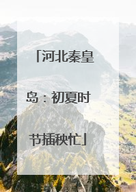 河北秦皇岛：初夏时节插秧忙