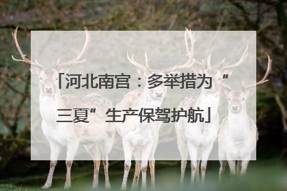 河北南宫：多举措为“三夏”生产保驾护航