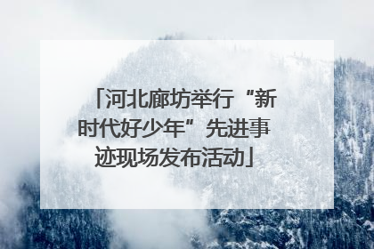 河北廊坊举行“新时代好少年”先进事迹现场发布活动