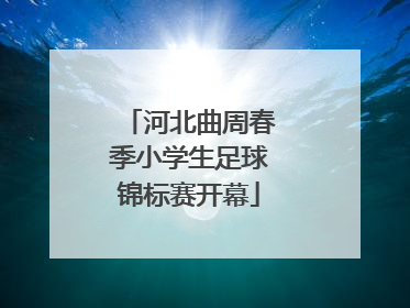 河北曲周春季小学生足球锦标赛开幕