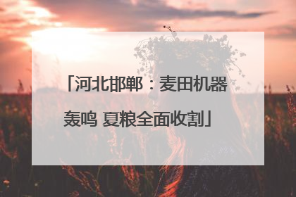 河北邯郸：麦田机器轰鸣 夏粮全面收割
