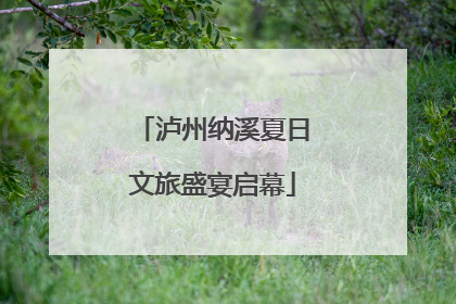 泸州纳溪夏日文旅盛宴启幕