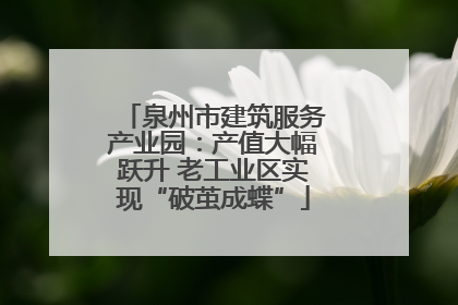 泉州市建筑服务产业园：产值大幅跃升 老工业区实现“破茧成蝶”