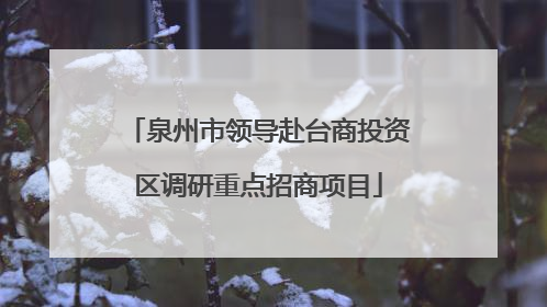 泉州市领导赴台商投资区调研重点招商项目