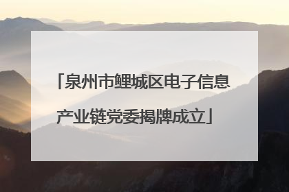 泉州市鲤城区电子信息产业链党委揭牌成立