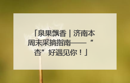 泉果飘香｜济南本周末采摘指南——“杏”好遇见你！