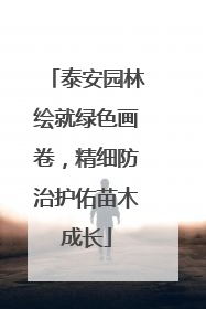 泰安园林绘就绿色画卷，精细防治护佑苗木成长