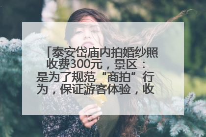 泰安岱庙内拍婚纱照收费300元，景区：是为了规范“商拍”行为，保证游客体验，收取费用全部上交国库