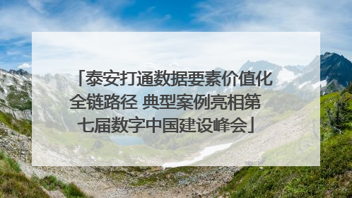 泰安打通数据要素价值化全链路径 典型案例亮相第七届数字中国建设峰会