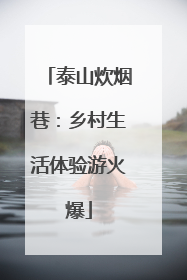 泰山炊烟巷：乡村生活体验游火爆