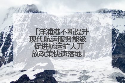 洋浦港不断提升现代航运服务能级 促进航运扩大开放政策快速落地