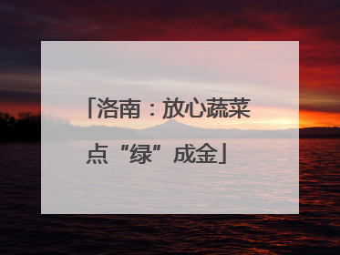 洛南：放心蔬菜点“绿”成金