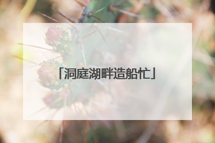 洞庭湖畔造船忙
