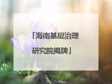 海南基层治理研究院揭牌