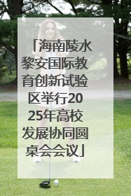 海南陵水黎安国际教育创新试验区举行2025年高校发展协同圆桌会会议