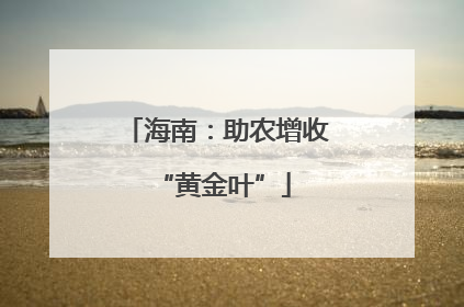 海南：助农增收 “黄金叶”