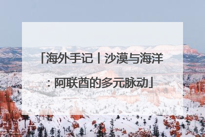 海外手记丨沙漠与海洋：阿联酋的多元脉动