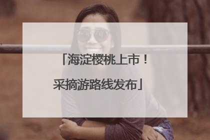 海淀樱桃上市！采摘游路线发布