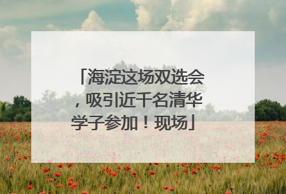 海淀这场双选会，吸引近千名清华学子参加！现场