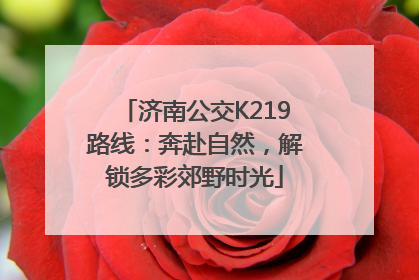 济南公交K219路线：奔赴自然，解锁多彩郊野时光