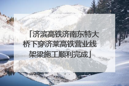 济滨高铁济南东特大桥下穿济莱高铁营业线架梁施工顺利完成