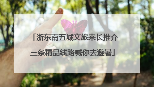 浙东南五城文旅来长推介 三条精品线路喊你去避暑