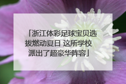 浙江体彩足球宝贝选拔燃动夏日 这所学校派出了超豪华阵容