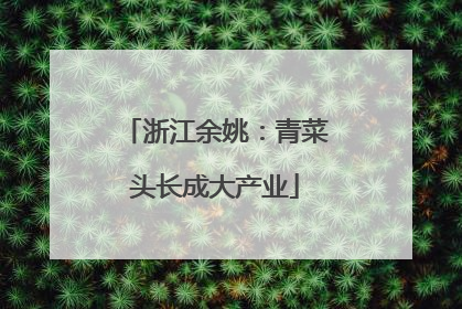 浙江余姚：青菜头长成大产业