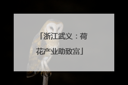 浙江武义：荷花产业助致富