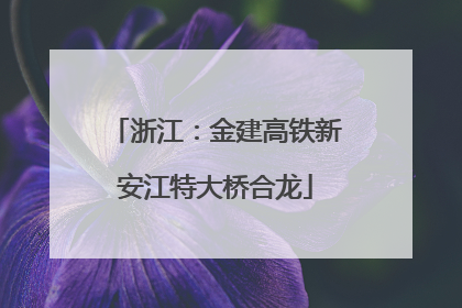 浙江：金建高铁新安江特大桥合龙