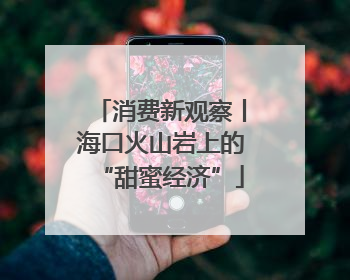 消费新观察丨海口火山岩上的“甜蜜经济”
