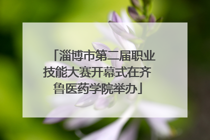 淄博市第二届职业技能大赛开幕式在齐鲁医药学院举办