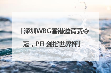 深圳WBG香港邀请赛夺冠，PEL剑指世界杯
