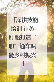 深耕技能培训 江苏盱眙打造“职”通车赋能乡村振兴