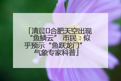 清晨﻿合肥天空出现“鱼鳞云” 市民：似乎预示“鱼跃龙门” 气象专家科普