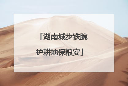 湖南城步铁腕护耕地保粮安