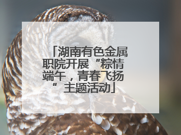 湖南有色金属职院开展“粽情端午，青春飞扬”主题活动