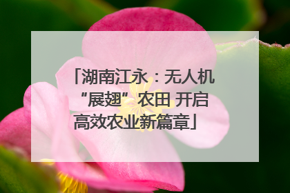 湖南江永：无人机“展翅”农田 开启高效农业新篇章