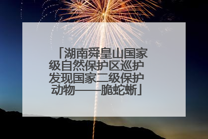湖南舜皇山国家级自然保护区巡护发现国家二级保护动物——脆蛇蜥