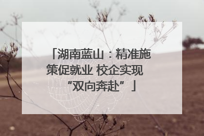 湖南蓝山：精准施策促就业 校企实现“双向奔赴”