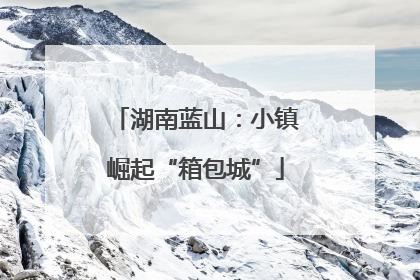 湖南蓝山：小镇崛起“箱包城”
